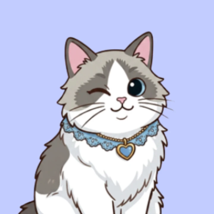Momo the ragdoll